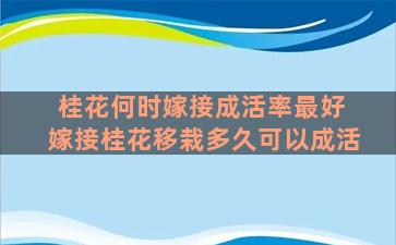 桂花何时嫁接成活率最好 嫁接桂花移栽多久可以成活